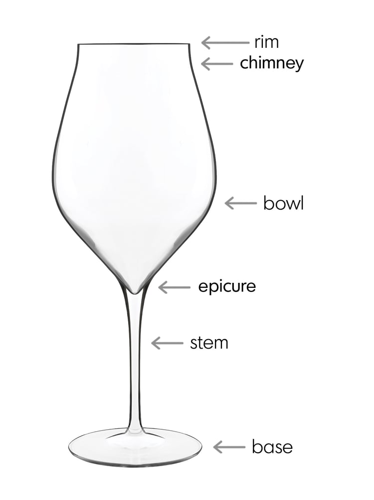 BauscherHepp's Guide to Wine Glasses